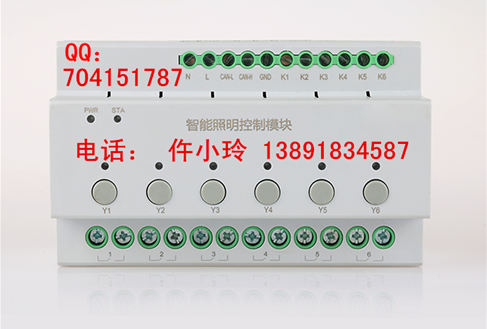 6路照明控制模块 (1)